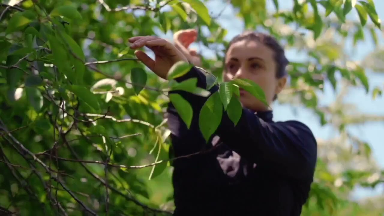 First Steps feat. Eleonora Fae