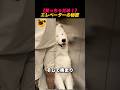 ㊗️263万再生‼️【笑っちゃダメ!】エレベーターの秘密 #fannyvideo #funnydogvideos #バズ動画