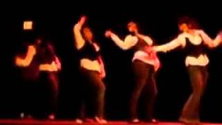 Lambda Theta Alpha Salutes and Strolls at Cornell's Greek Freak 2008