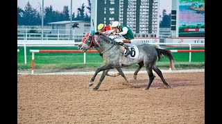 Asrin Pehli̇vani 5 / 5 Yapti G 3/Dht Resimi