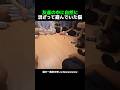 友達の中に自然に混ざって遊んでいた猫