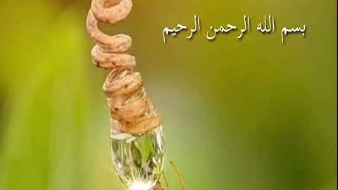 أيات من سورة الروم الشيخ سعد الغامدي