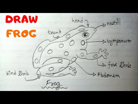 How To Draw