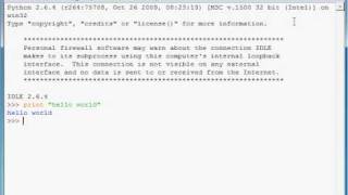 Celebrity Python Basics Tutorial 1: Your First Program Wealth