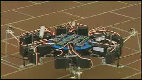 mechatronic omni-directional hexapod
