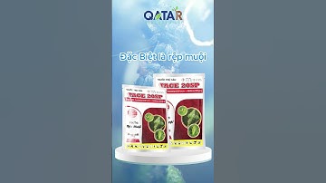TACE 20SP Đặc trị: RỆP MUỘI🔥 Khắc tinh rầy rệp, cây khỏe bội thu💦 Hoạt chất: Acetamiprid 20%