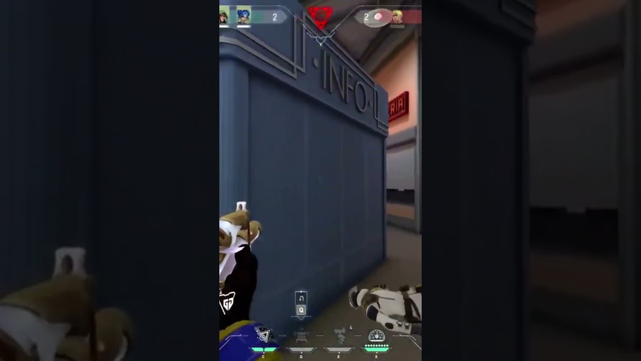 Valorant the best sentinel in game