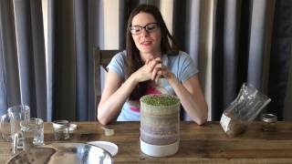 Victorio Seed Sprouter How To for Beginners