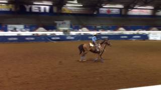 Jackson And Heza Smart Mate Working Cow Horse State 4-H Horse Show Placed 5Th