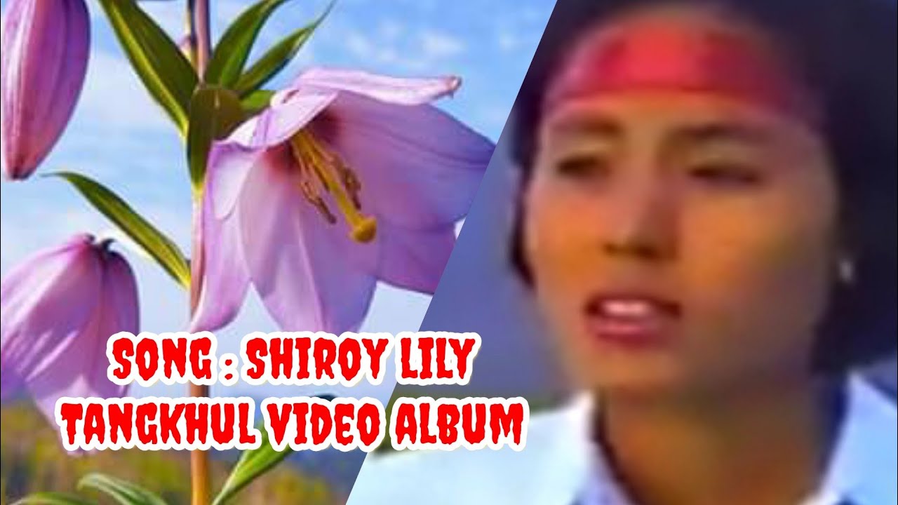 SHIROI LILY old tangkhul movie