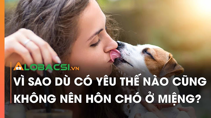 Người yêu chó là người như thế nào