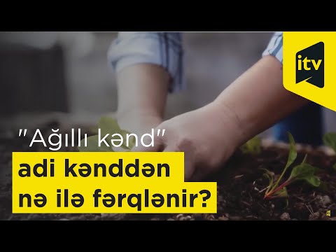Video: Şəhər Həyatı Kənddən Nə Ilə Fərqlənir