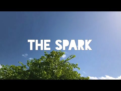 The Spark Music Video - Common Cents