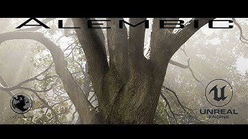 Setup Alembic cache in Unreal Engine 5.