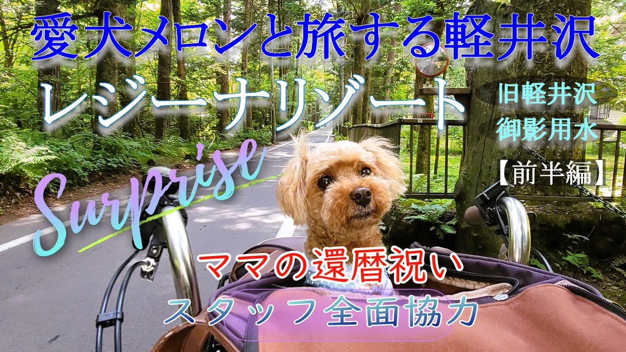 【犬旅軽井沢】愛犬メロンと旅する軽井沢’24年夏【前半】