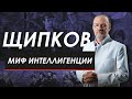 МИФ ИНТЕЛЛИГЕНЦИИ. ЩИПКОВ № 186