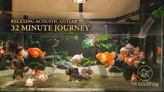 Unwind and Reset: Long Play Acoustic Guitar for Study, Work, and Sleep with VR Goldfish ☕🎶 screenshot 4