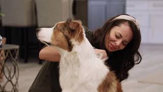 Veterinary Formula Flea and Tick Shampoo