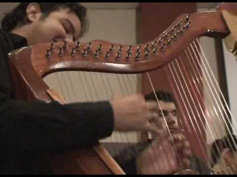 Francisco Hernndez tocando con la Orquesta de la U...