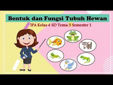 Bentuk dan Fungsi Tubuh Hewan IPA Kelas 4 SD | Tema 3 | Semester 1