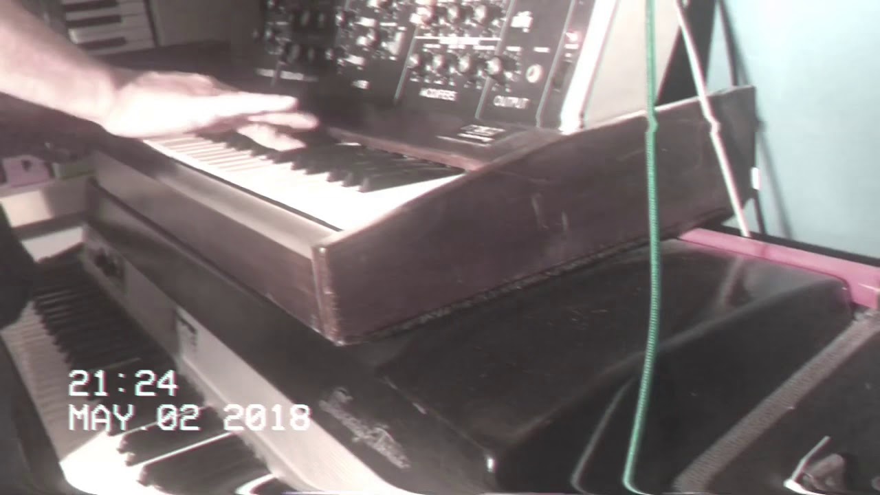 Tangerine // Minimoog recording session