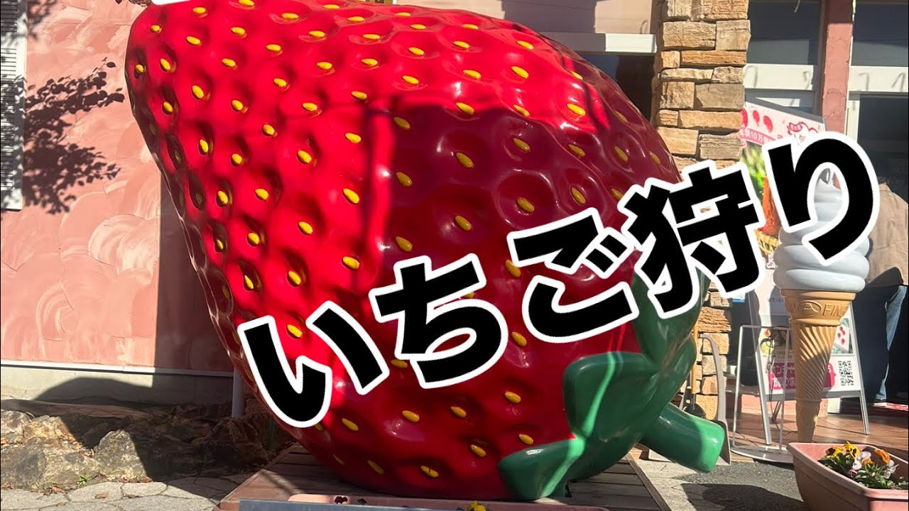 いちごの里　いちご狩り タルト　市場