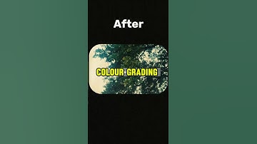 colour grading like a pro 🤯#viral#shortsfeed ....