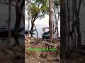 amazing maithon dam side #nature #song #shorts #ytshorts #youtubeshorts