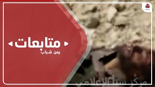 مليشيا الحوثي تنهب أراضي ومنازل عناصرها الذين أرسلتهم للموت في مأرب