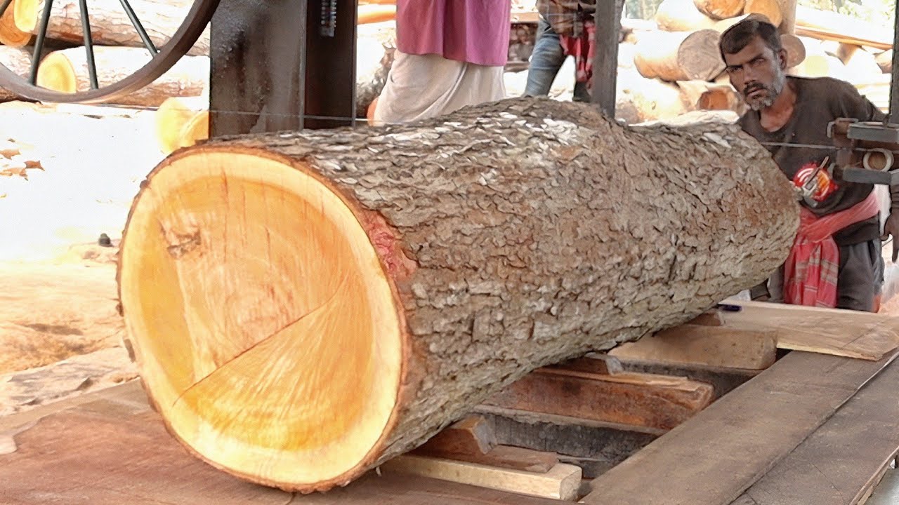 Sawmill Wood Cutting Skills in Advanced Lumber Mills // The Most Dangerous Wood Cutting Machines"