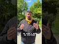 Прогулка 3 мая)