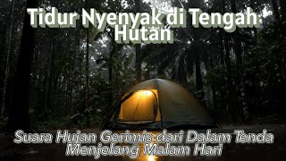 Tidur Nyenyak Di Tengah Hutan  Suara Hujan Gerimis Dari Dalam Tenda Menjelang Malam Hari