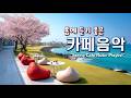 🌸봄에 듣기 좋은 카페 음악 ☕ 봄 느낌 가득한 기분 좋은 Playlist | 중간 광고 없음 | Happy Spring Cafe Music 260319