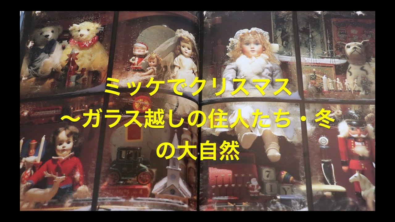本 『ミッケ！I SPY 』『チャレンジミッケ！』 サンタクロース など… 21冊