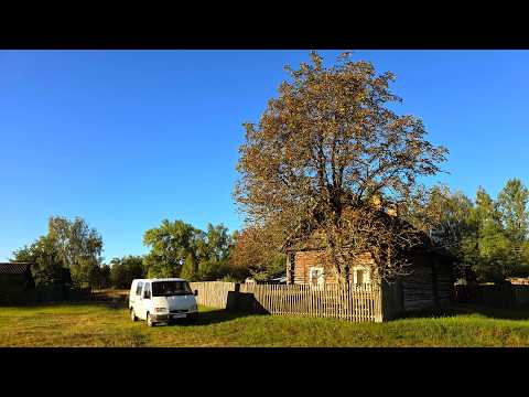 Belarus, the village, and us. Getting ready for winter.))
