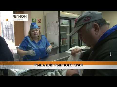 ДОСТУПНАЯ РЫБА НА КАМЧАТКЕ — ИСТОКИ И БУДУЩЕЕ, ДОСТОИНСТВА И НЕДОСТАТКИ • НОВОСТИ КАМЧАТКИ