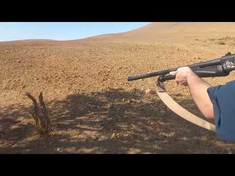 اسلحه یوز تست اسلحه شکاری با فشنگ شماره یک