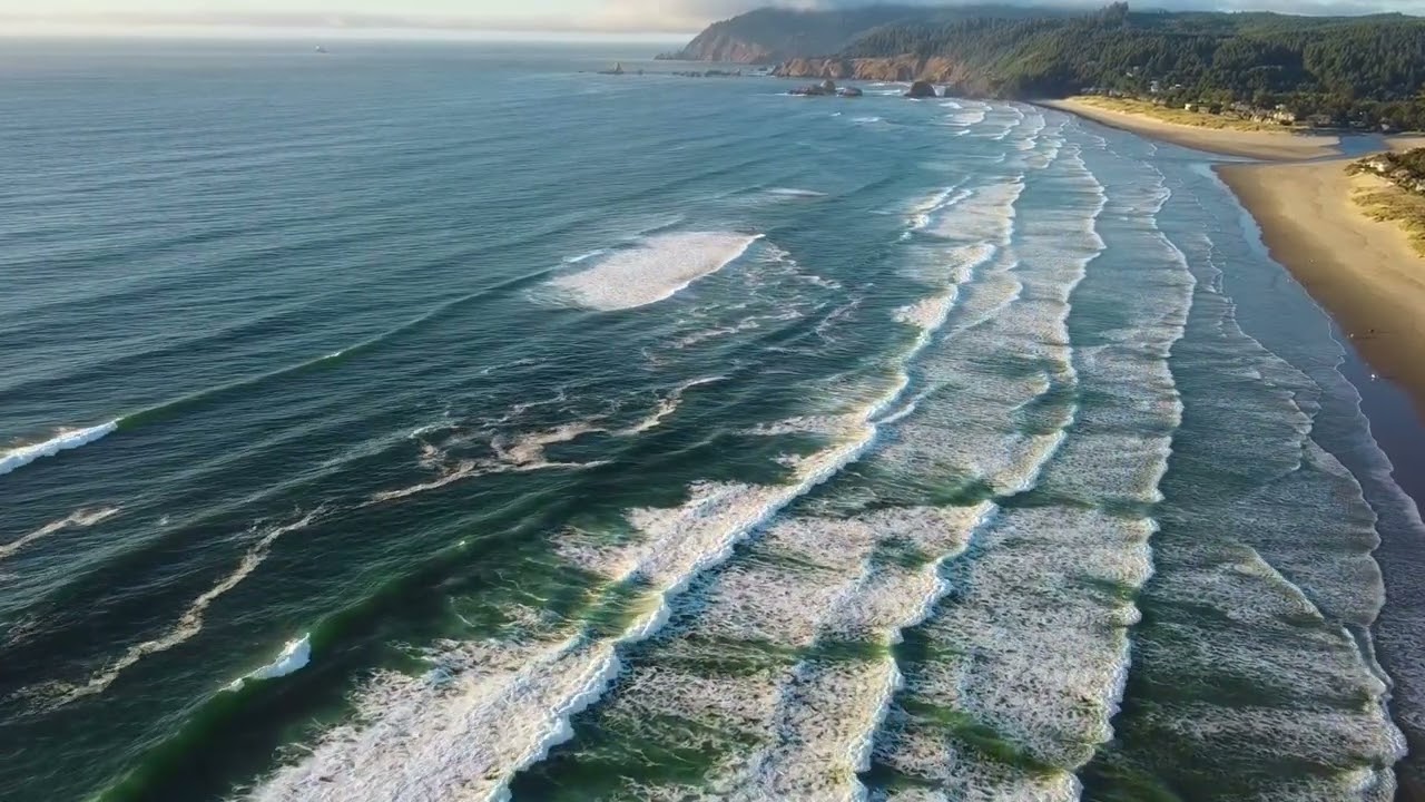 Trees grow in the forest, flowers in the meadows, and fish live in the rivers.