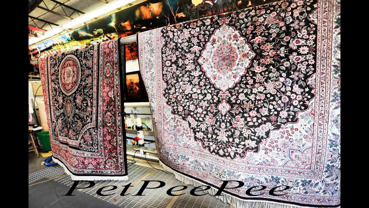 Machine to clean Puppy Pee Pee-