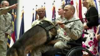Air Force Staff Sgt. Brian Williams Bronze Star Ceremony
