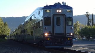 Ace Cabcar 3306 Returns With Broken Horn