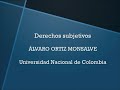 Derechos Subjetivos