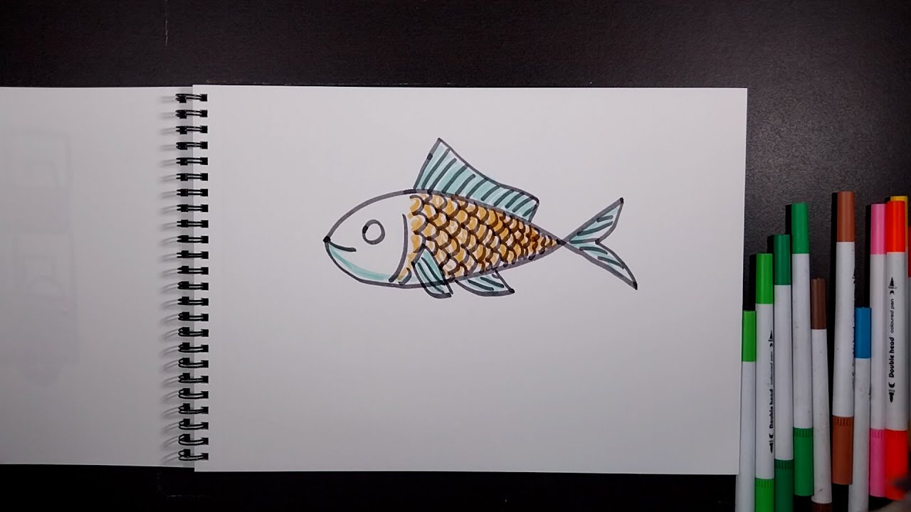 How to draw a fish for very beginners, drawing tutorial step by step ...