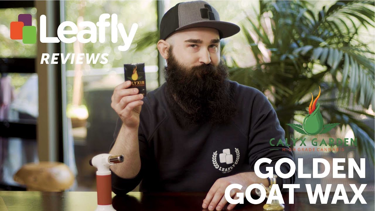 Calyxir Golden Goat Wax by Calyx Garden – Leafly Reviews