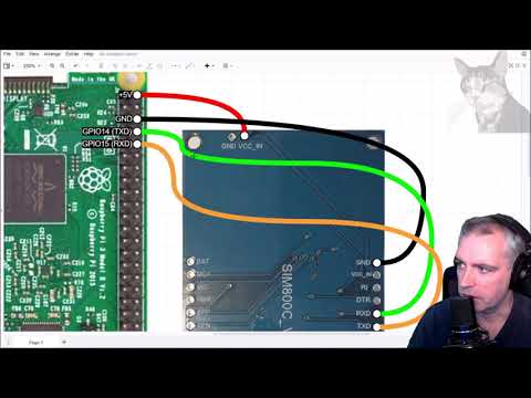 Connect SIM800C SMS Module to a Raspberry PI