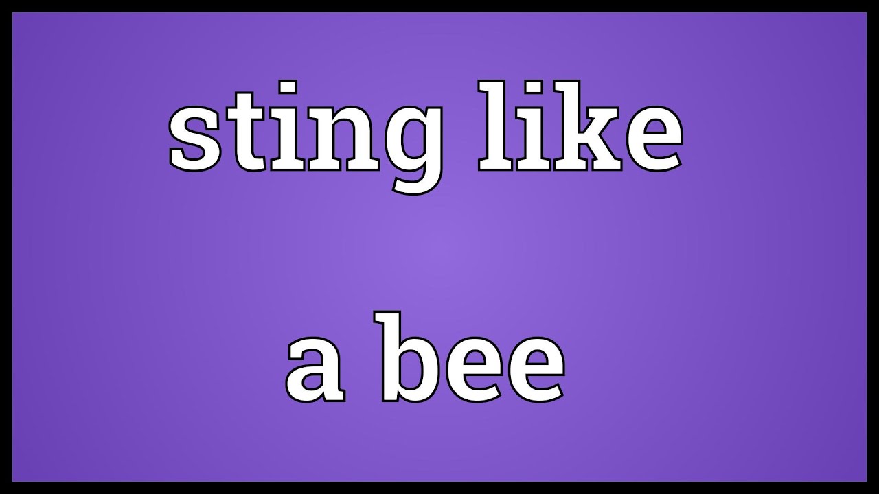 Sting Like A Bee Meaning Youtube