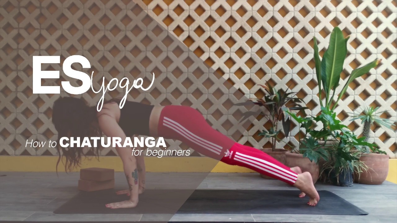 HOW TO DO CHATURANGA! (tutorial for beginners)