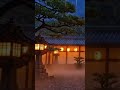 Calm Asian Ambient Music & Stress Relief #stressrelief #relaxingmusic #shorts #zenmusic