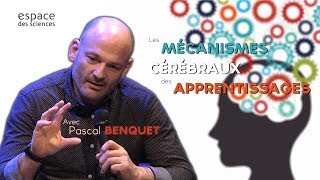 [Pascal Benquet] Les mécanismes cérébraux des apprentissages