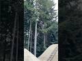 Wish I could ride this line ALL THE TIME! dreamtrack jumpline is the best! #mtb